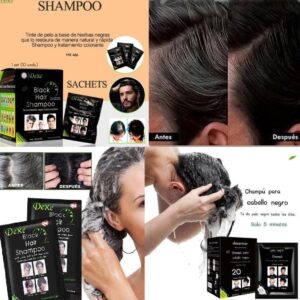 SHAMPOO TINTE CUBRE CANAS